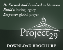 Project 29